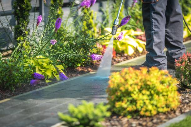 Best Fence Cleaning  in Jonestown, PA